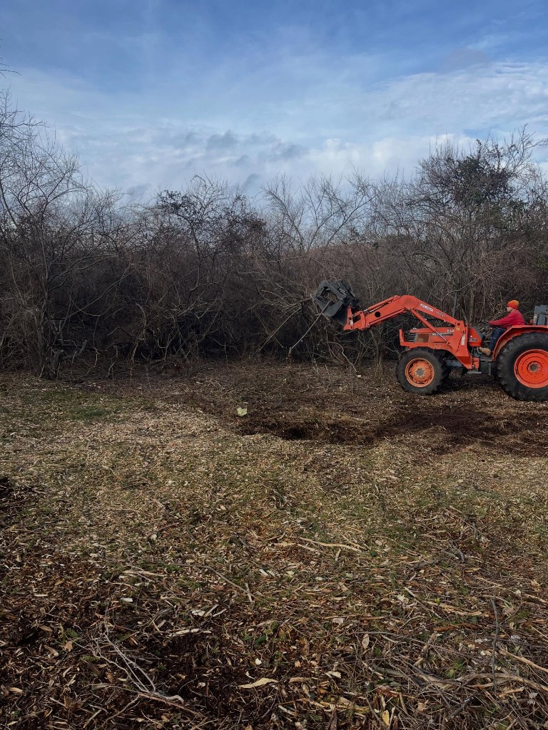 Tree service project