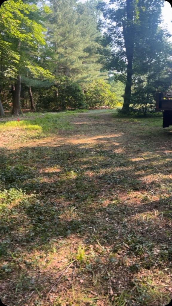 Tree service project