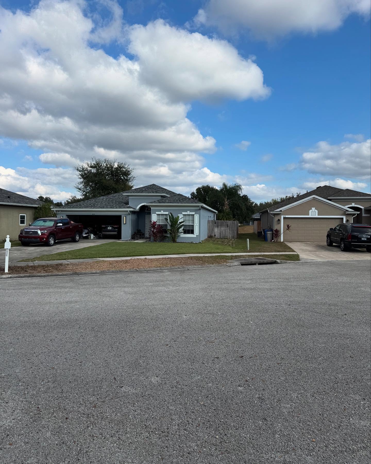 Neighbor's yard in Land O' Lakes, FL after storm debris cleanup by Predator Tree Service