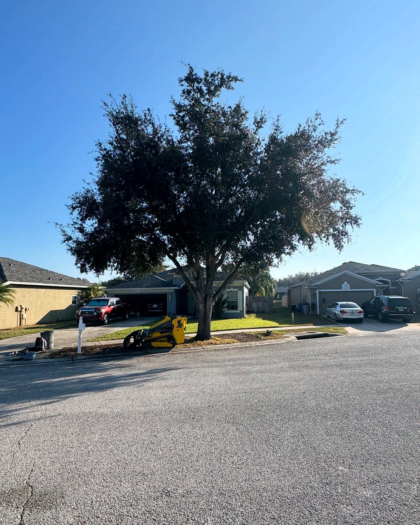 Neighbor's yard in Land O' Lakes, FL before storm debris cleanup by Predator Tree Service