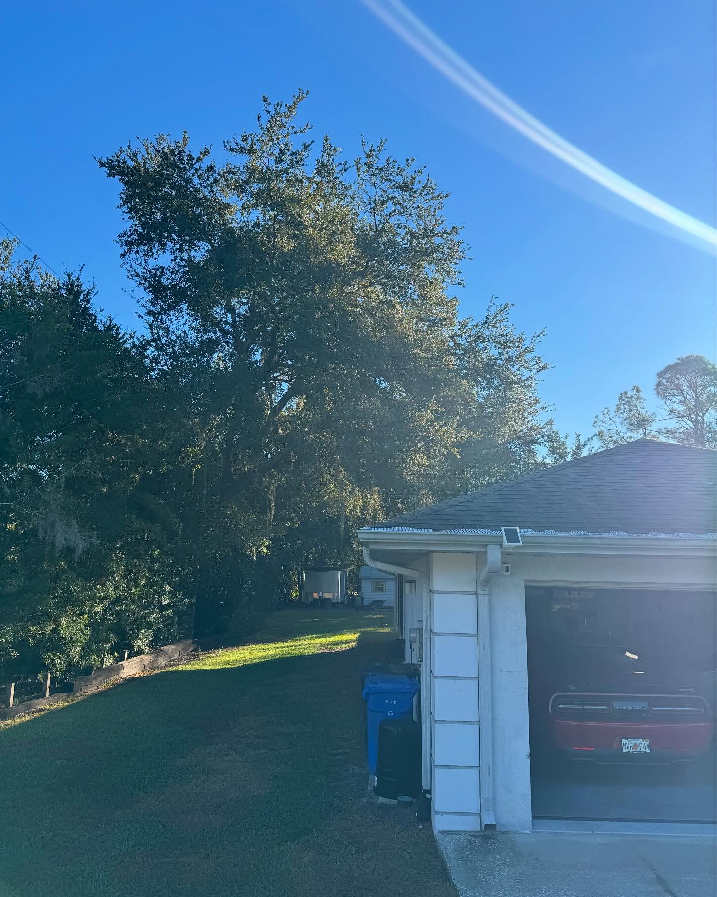 Stump grinding stage one on a Land O' Lakes, FL property