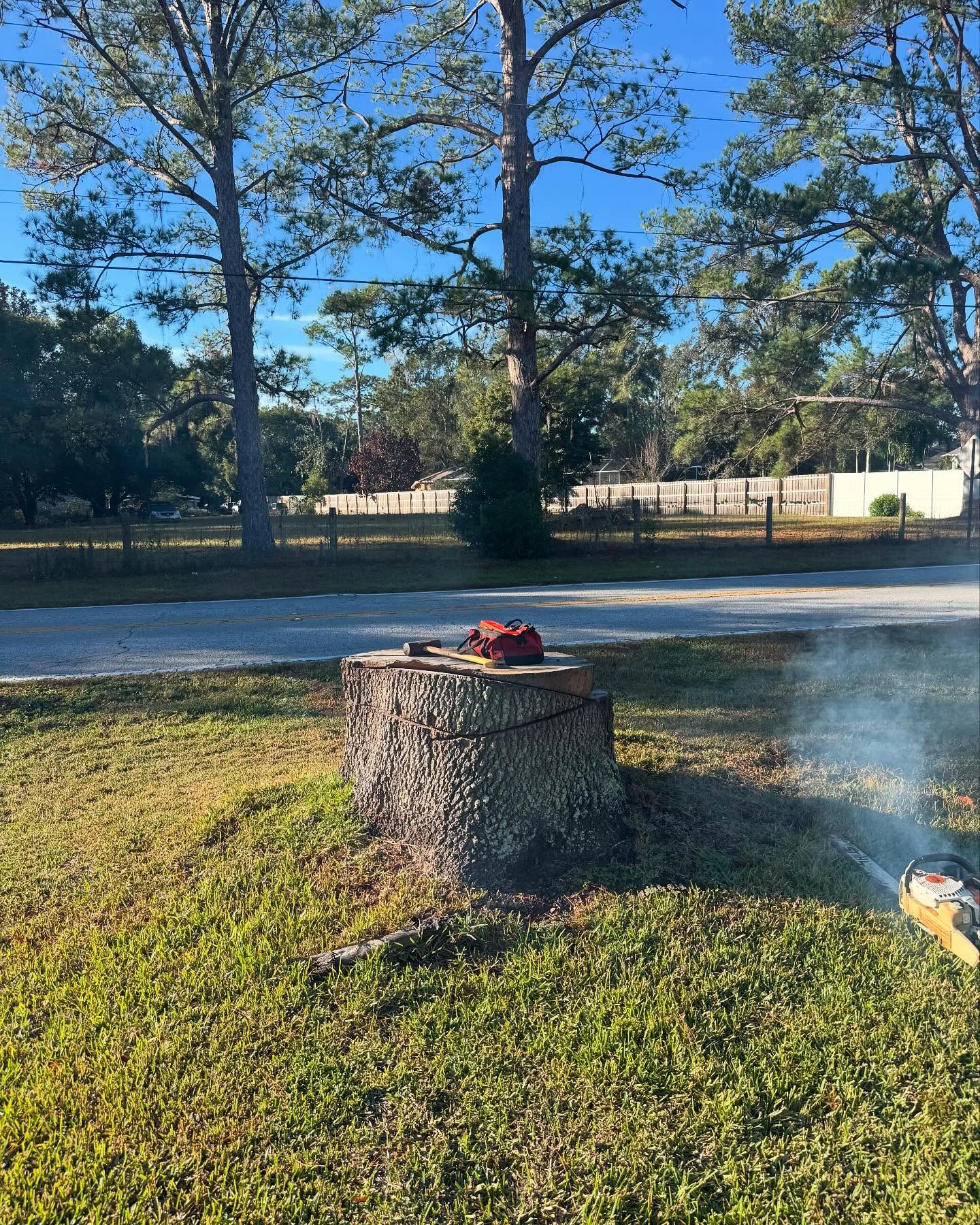 Stump grinding stage three on a Land O' Lakes, FL property