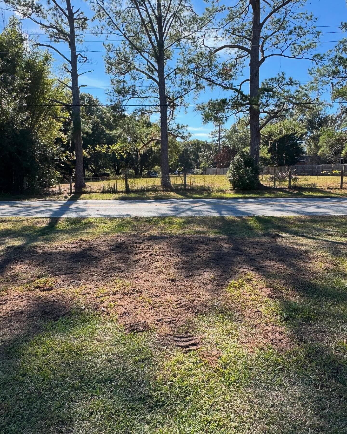 Stump grinding finished on a Land O' Lakes, FL property